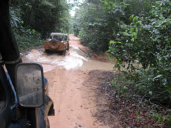 03-0-Copr_2026-Expedition_DG_12_Suriname_2012t.jpg