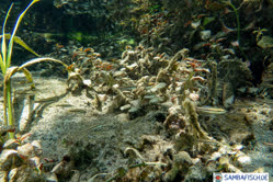 00-0-Copr_2025-Roman_Burkardtt.jpg