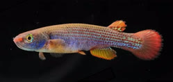 00-0-Copr-2026-Kohei_Nagamit.jpg